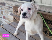 RUTHIE - Photo 1