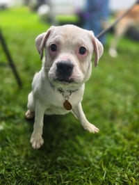 RUTHIE - Photo 2