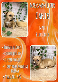 Canik - Marksman - Photo 1
