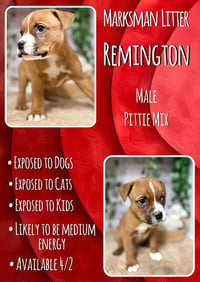 Remington - Marksman - Photo 1