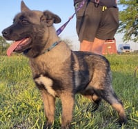 Gemma - Photo 1