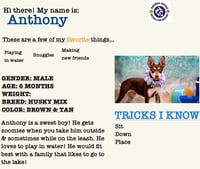 Anthony - Photo 5