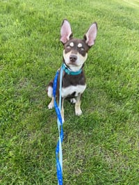 Anthony - Photo 6