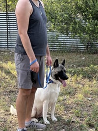 Kira - Photo 3