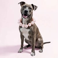 Lainey - Photo 6