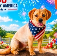 Milo - Photo 1
