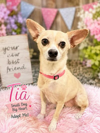 Tia - Photo 2