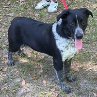 Ruffin - Photo 1