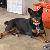Gwinnie - Photo 2