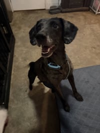 Mollie Mae - Photo 3