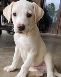 Max - Photo 3