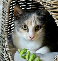 Marie - Photo 2