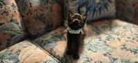 Nike - Photo 2