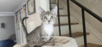 Winnie - Photo 2