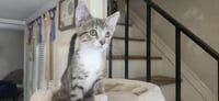 Winnie - Photo 1