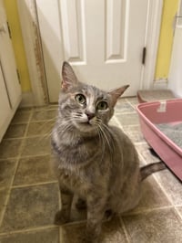 Fiona - Photo 4