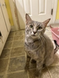 Fiona - Photo 2