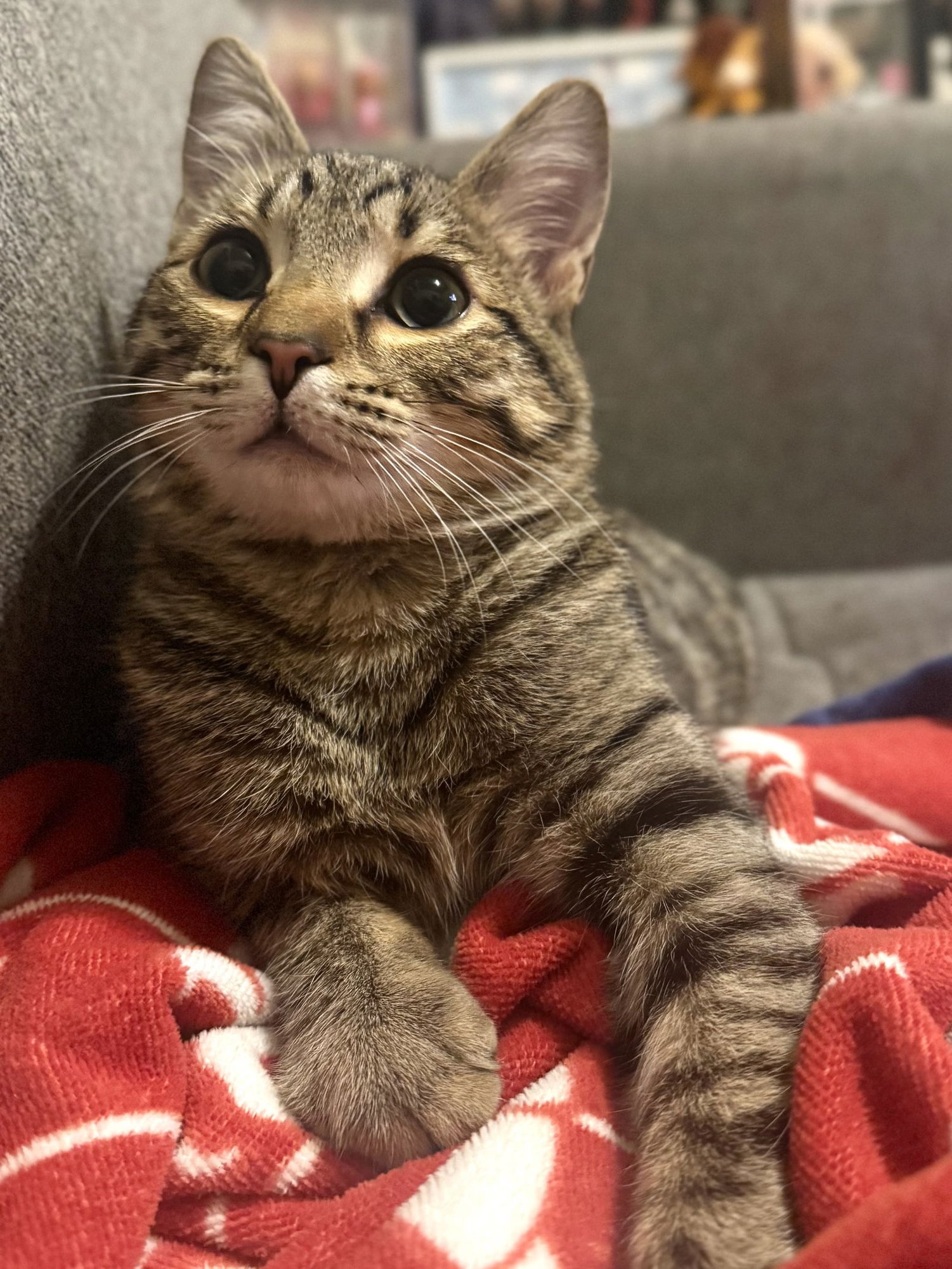 Door Frame - Photo 3