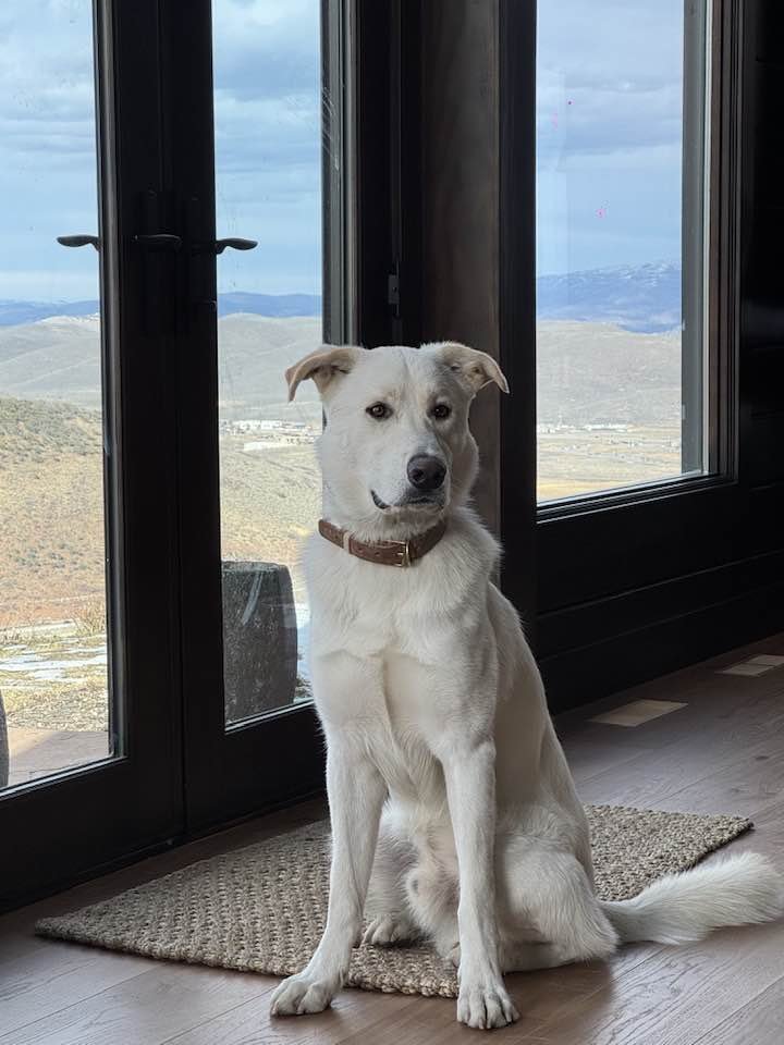 OS Chubby Bear - Photo 5