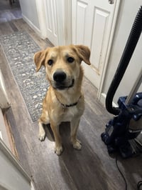 Ernie - Photo 8