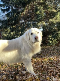 Maggie - Photo 6