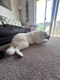 Dakota/Kota - Photo 4