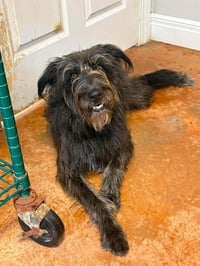 Ellie Mae - Photo 3