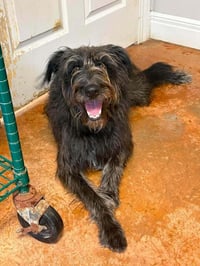Ellie Mae - Photo 2