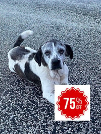 Gertie - Photo 1