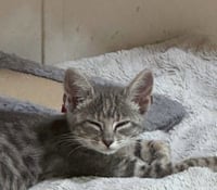 Slider - Photo 1