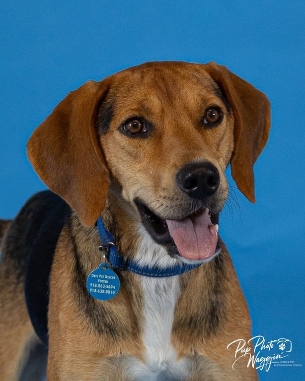 Otis Image