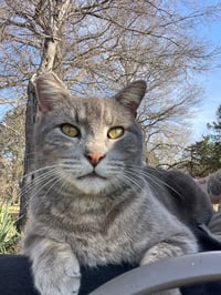 Doug - Photo 3