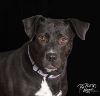 Patty - Photo 2