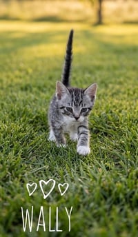 Wallace "Wally - Photo 1