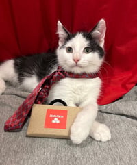 Jake (from State Farm) - Photo 1