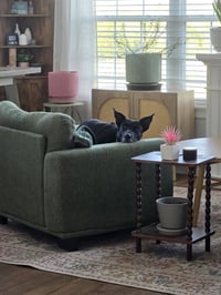 Evie - Photo 2