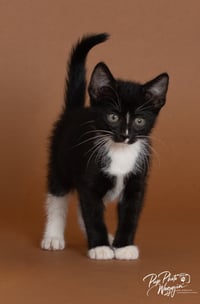 Sally - Photo 1