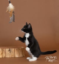Sally - Photo 3