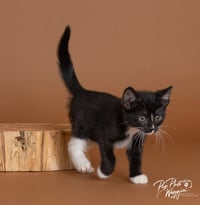 Sally - Photo 4