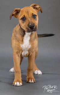 Quincy - Photo 3