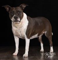 Abbie - Photo 1