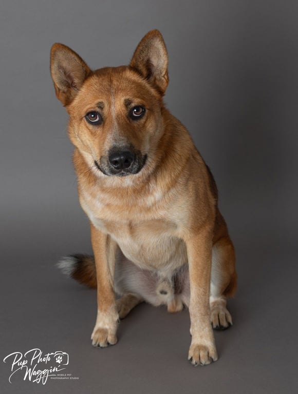 Sampson Image