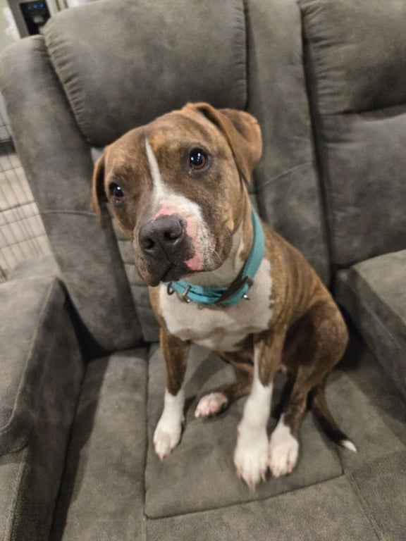 Bella Image