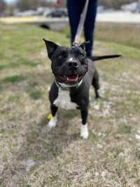 Marcy - Photo 2