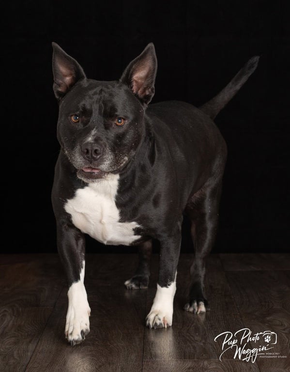 Marcy Image