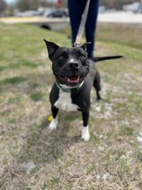 Marcy - Photo 2