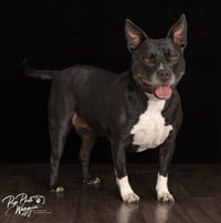 Marcy - Photo 2