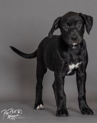 Phyllis - Photo 2