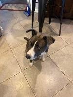 Barklee - Photo 2
