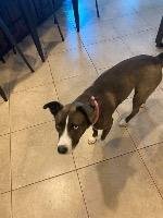 Barklee - Photo 3